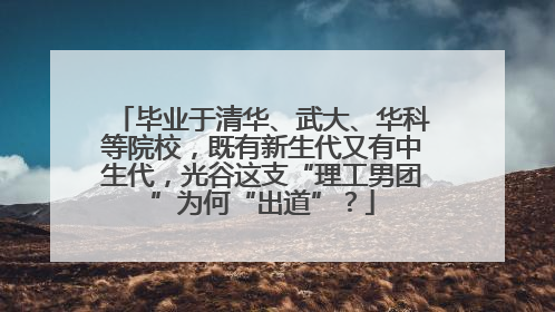 毕业于清华、武大、华科等院校，既有新生代又有中生代，光谷这支“理工男团”为何“出道”？