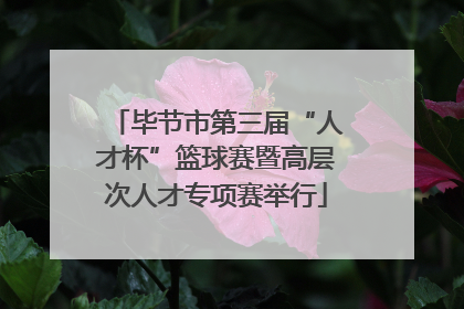 毕节市第三届“人才杯”篮球赛暨高层次人才专项赛举行