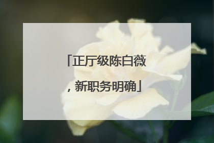 正厅级陈白薇，新职务明确
