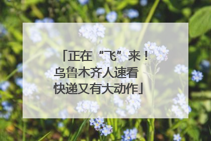 正在“飞”来！乌鲁木齐人速看 快递又有大动作