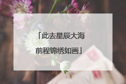 此去星辰大海 前程锦绣如画