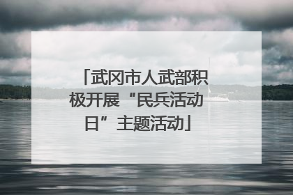 武冈市人武部积极开展“民兵活动日”主题活动