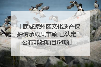 武威凉州区文化遗产保护传承成果丰硕 已认定公布非遗项目64项