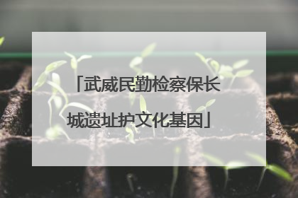 武威民勤检察保长城遗址护文化基因