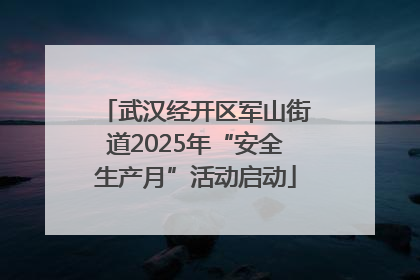 武汉经开区军山街道2025年“安全生产月”活动启动