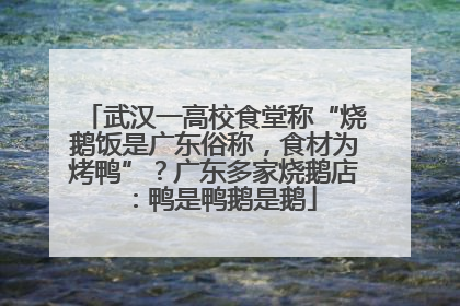 武汉一高校食堂称“烧鹅饭是广东俗称，食材为烤鸭”？广东多家烧鹅店：鸭是鸭鹅是鹅