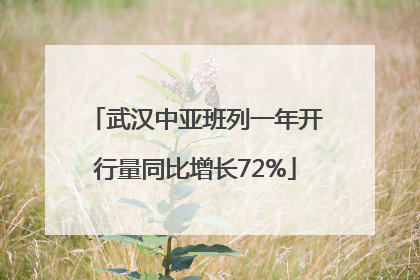 武汉中亚班列一年开行量同比增长72%