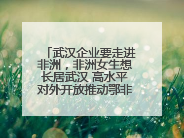 武汉企业要走进非洲，非洲女生想长居武汉 高水平对外开放推动鄂非双向奔赴
