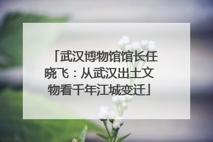武汉博物馆馆长任晓飞：从武汉出土文物看千年江城变迁