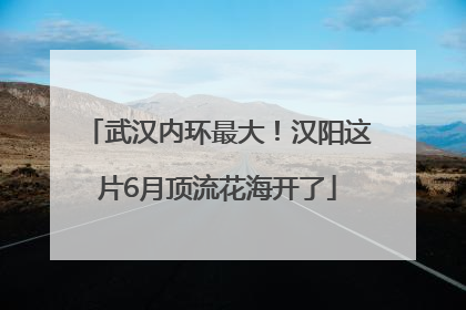 武汉内环最大！汉阳这片6月顶流花海开了