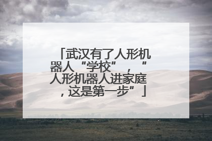 武汉有了人形机器人“学校”，“人形机器人进家庭，这是第一步”