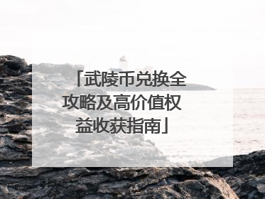 武陵币兑换全攻略及高价值权益收获指南