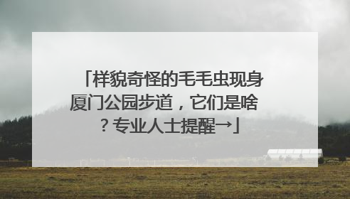 样貌奇怪的毛毛虫现身厦门公园步道，它们是啥？专业人士提醒→