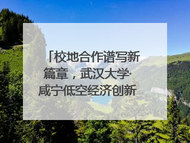 校地合作谱写新篇章，武汉大学·咸宁低空经济创新研究院签约成立