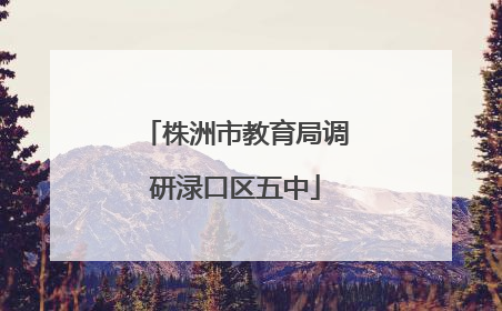 株洲市教育局调研渌口区五中