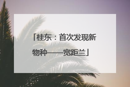 桂东：首次发现新物种——宽距兰