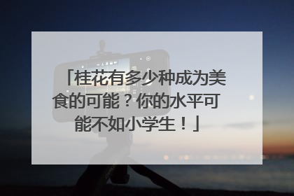 桂花有多少种成为美食的可能？你的水平可能不如小学生！