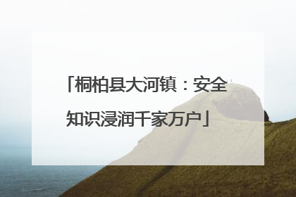 桐柏县大河镇：安全知识浸润千家万户