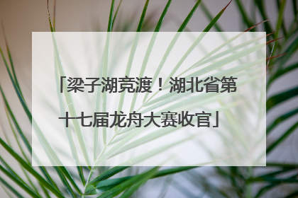 梁子湖竞渡！湖北省第十七届龙舟大赛收官