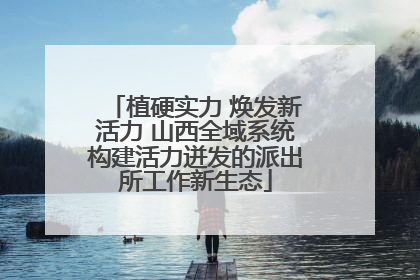 植硬实力 焕发新活力 山西全域系统构建活力迸发的派出所工作新生态