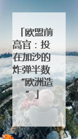 欧盟前高官：投在加沙的炸弹半数“欧洲造”