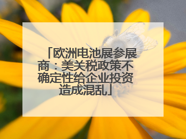 欧洲电池展参展商：美关税政策不确定性给企业投资造成混乱
