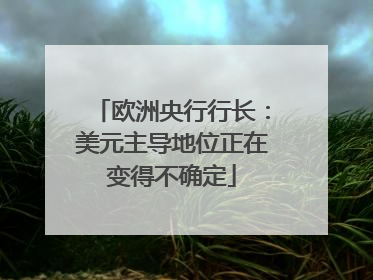 欧洲央行行长：美元主导地位正在变得不确定