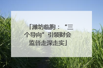 潍坊临朐：“三个导向”引领财会监督走深走实