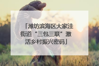 潍坊滨海区大家洼街道“三包三联”激活乡村振兴密码
