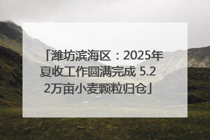 潍坊滨海区：2025年夏收工作圆满完成 5.22万亩小麦颗粒归仓