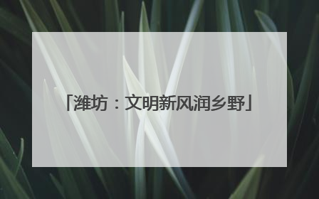 潍坊：文明新风润乡野