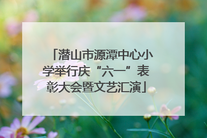 潜山市源潭中心小学举行庆“六一”表彰大会暨文艺汇演