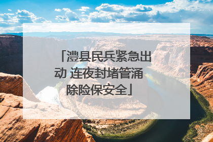 澧县民兵紧急出动 连夜封堵管涌除险保安全