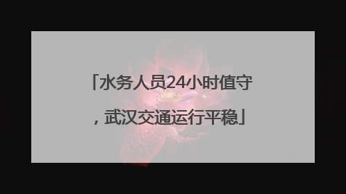 水务人员24小时值守，武汉交通运行平稳