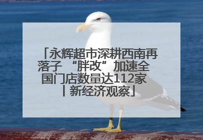 永辉超市深耕西南再落子 “胖改”加速全国门店数量达112家丨新经济观察