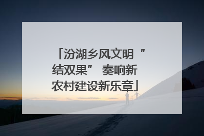 汾湖乡风文明“结双果” 奏响新农村建设新乐章