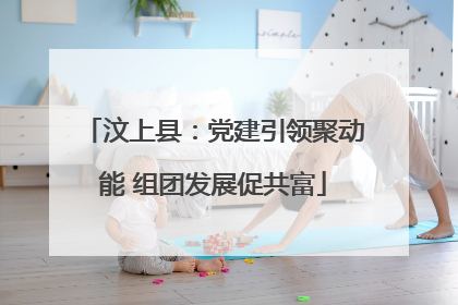 汶上县：党建引领聚动能 组团发展促共富