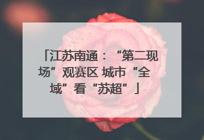 江苏南通：“第二现场”观赛区 城市“全域”看“苏超”