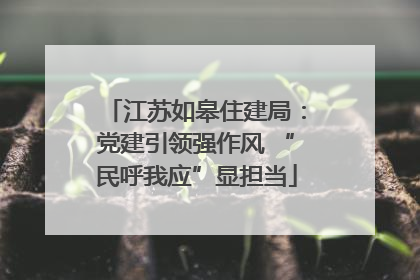 江苏如皋住建局：党建引领强作风 “民呼我应”显担当