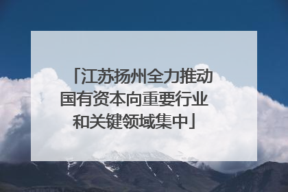 江苏扬州全力推动国有资本向重要行业和关键领域集中