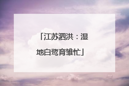 江苏泗洪：湿地白鹭育雏忙
