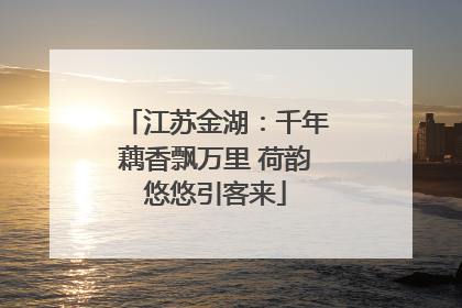 江苏金湖：千年藕香飘万里 荷韵悠悠引客来