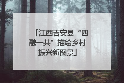 江西吉安县“四融一共”描绘乡村振兴新图景