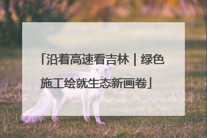 沿着高速看吉林｜绿色施工绘就生态新画卷