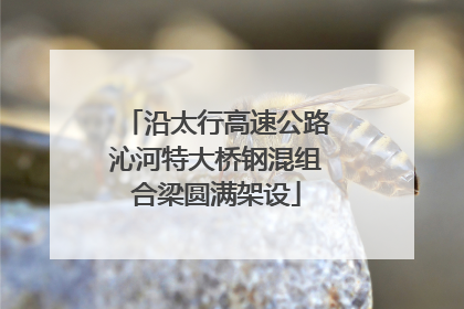 沿太行高速公路沁河特大桥钢混组合梁圆满架设