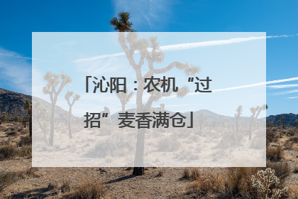 沁阳：农机“过招”麦香满仓
