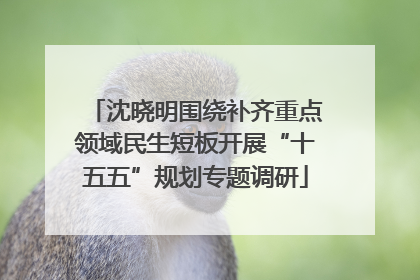 沈晓明围绕补齐重点领域民生短板开展“十五五”规划专题调研
