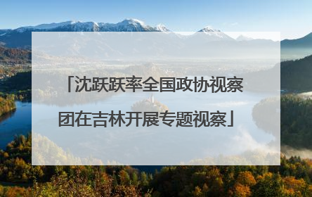 沈跃跃率全国政协视察团在吉林开展专题视察