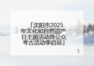 沈阳市2025年文化和自然遗产日主题活动暨公众考古活动季启幕