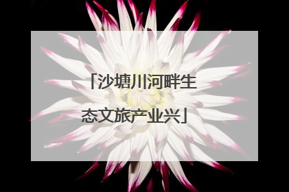 沙塘川河畔生态文旅产业兴